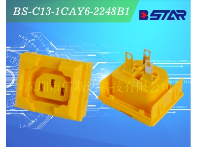 New Product Hot Sale Iec C13 Socket/ac Outlet Universal Electric Socket Adapter PDU outlet
